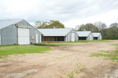 This 6-house poultry broiler farm, situated just north of - photo 12