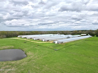 This 6-house poultry broiler farm, situated just north of - photo 16