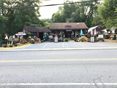 LOCATION! LOCATION! LOCATION! RARE Commercial Property and - photo 21