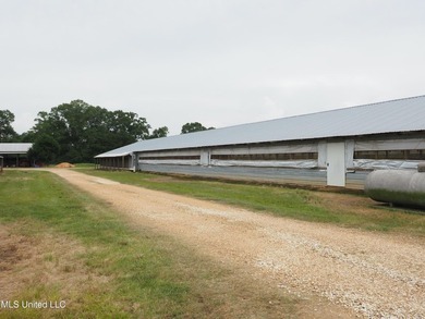 This 6-house poultry broiler farm, situated just north of - photo 23
