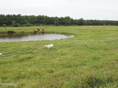 This 6-house poultry broiler farm, situated just north of - photo 25