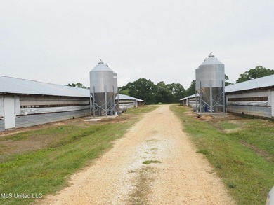 This 6-house poultry broiler farm, situated just north of - photo 27