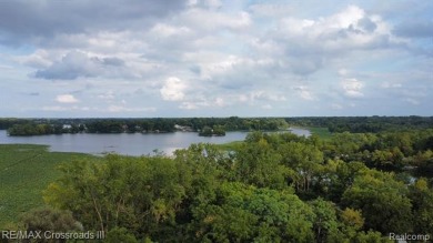 Belleville Lake Lot For Sale in Van Buren Michigan