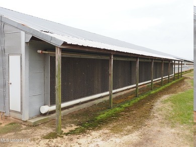 This 6-house poultry broiler farm, situated just north of - photo 32
