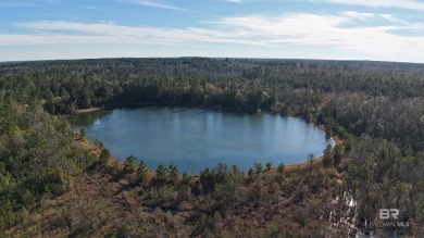 Lake Acreage For Sale in Tibbie, Alabama