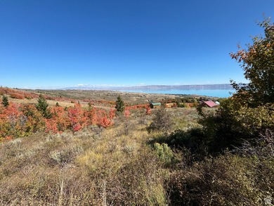 Bear Lake Lot For Sale in Fish Haven Idaho