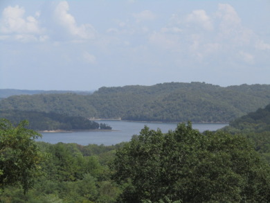 Lot for sale on Goose Rd Lot 1C & 2C - Lake Acreage For Sale in Hilham, Tennessee