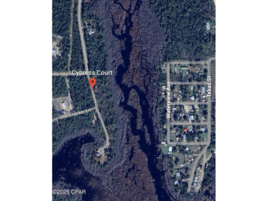 Dead Lake Acreage For Sale in Wewahitchka Florida