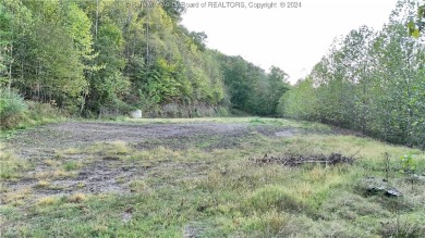  Acreage For Sale in Turtle Creek West Virginia