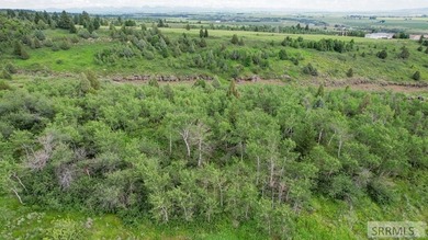 (private lake, pond, creek) Acreage For Sale in Ashton Idaho