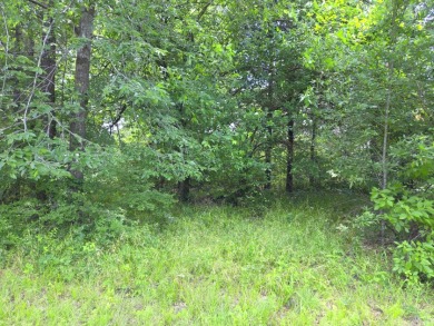 Lot 442 Waters Edge Dr - photo 15