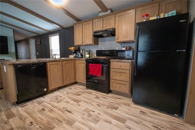 This charming 3-bedroom, 2 full bath single-wide home offers - photo 10