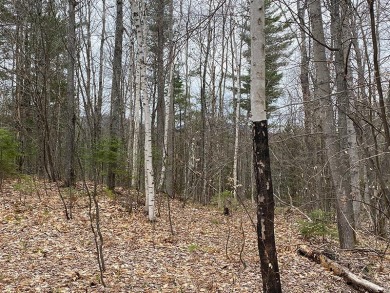 Loon Lake Acreage For Sale in Loon Lake New York