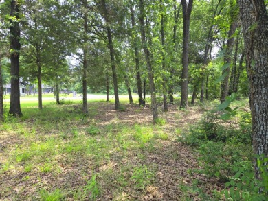 Lot 442 Waters Edge Dr - photo 12