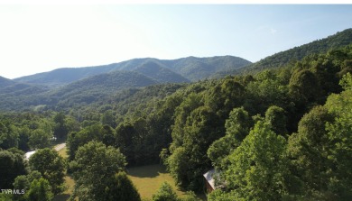 Lake Acreage For Sale in Butler, Tennessee