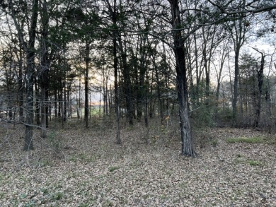 Lot 442 Waters Edge Dr - photo 11