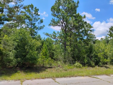 Lake Lot For Sale in Chipley, Florida