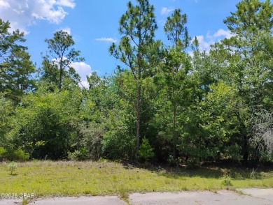Lake Lot For Sale in Chipley, Florida