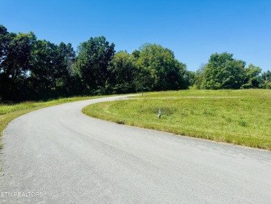 Norris Lake Lot For Sale in New Tazewell Tennessee