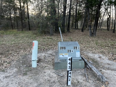 Lot 442 Waters Edge Dr - photo 13