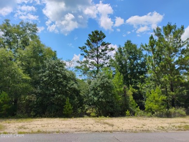 Lake Lot For Sale in Chipley, Florida
