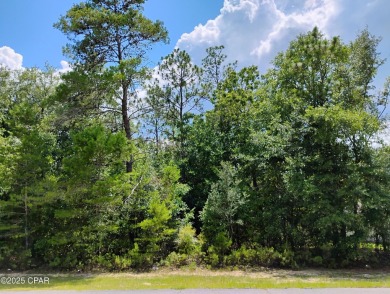 Lake Lot Sale Pending in Chipley, Florida