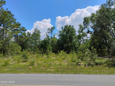 Lake Lot For Sale in Chipley, Florida