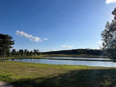 Escape to your own private paradise just outside of Ellisville - photo 19
