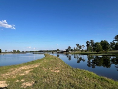 Escape to your own private paradise just outside of Ellisville - photo 21
