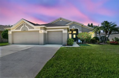 Lake Home For Sale in Lutz, Florida