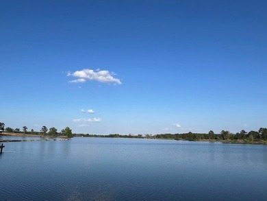 Escape to your own private paradise just outside of Ellisville - photo 23