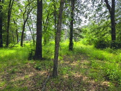 Lot 442 Waters Edge Dr - photo 3