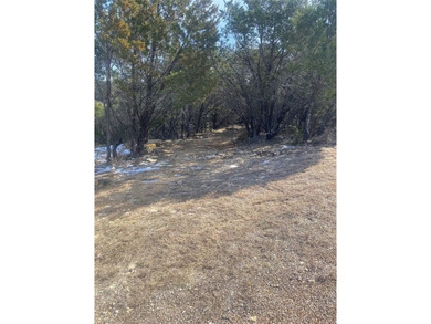 Lake Granbury Lot For Sale in Granbury Texas