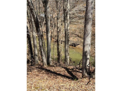 Lake Lot For Sale in Alexander City, Alabama