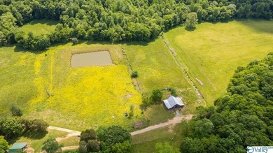 Big Valley, ultimate privacy and stunning views, this 1434 acre - photo 11
