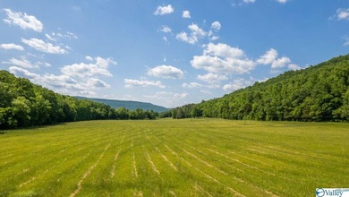 Big Valley, ultimate privacy and stunning views, this 1434 acre - photo 12