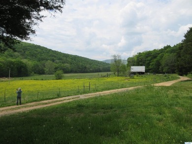 Big Valley, ultimate privacy and stunning views, this 1434 acre - photo 21