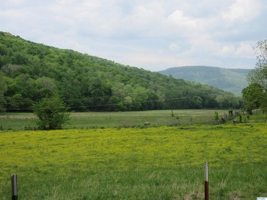Big Valley, ultimate privacy and stunning views, this 1434 acre - photo 22