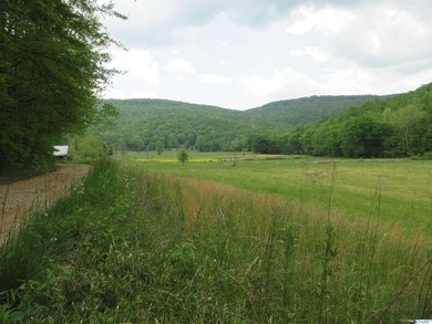 Big Valley, ultimate privacy and stunning views, this 1434 acre - photo 23