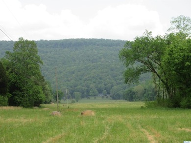 Big Valley, ultimate privacy and stunning views, this 1434 acre - photo 24