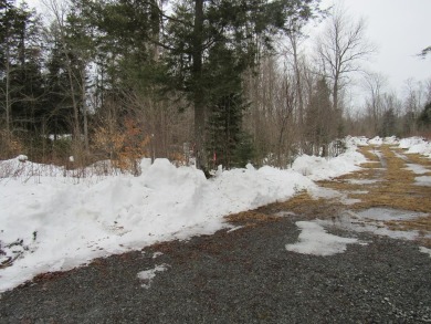 4072 Lakeview Road, Otter Lake, NY 13338, 2418691