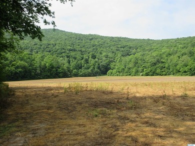 Big Valley, ultimate privacy and stunning views, this 1434 acre - photo 43