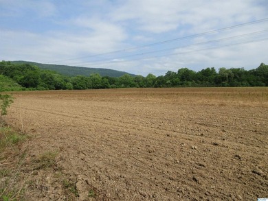 Big Valley, ultimate privacy and stunning views, this 1434 acre - photo 44