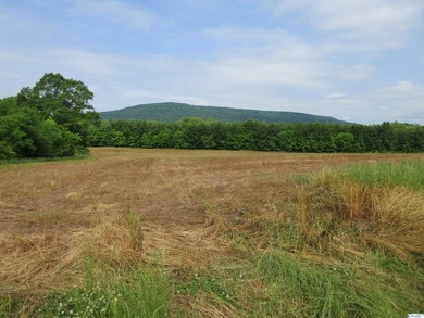 Big Valley, ultimate privacy and stunning views, this 1434 acre - photo 45
