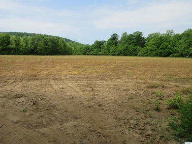 Big Valley, ultimate privacy and stunning views, this 1434 acre - photo 46