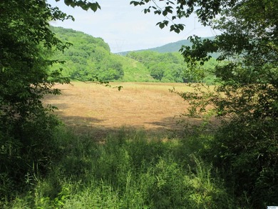Big Valley, ultimate privacy and stunning views, this 1434 acre - photo 47