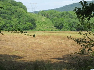 Big Valley, ultimate privacy and stunning views, this 1434 acre - photo 48
