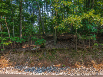 Building Lot with Lake Views - Lake Lot For Sale in Mooresburg, Tennessee