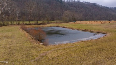 (private lake, pond, creek) Acreage For Sale in Bulls Gap Tennessee