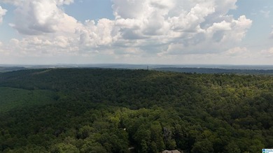Discover the perfect blend of mountain living and community - photo 15
